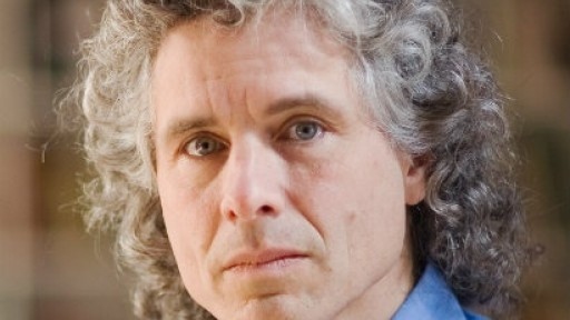 The author and psychology professor Steven Pinker