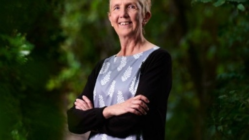 Image of Ann Cleeves stood in a maze of Beech hedges